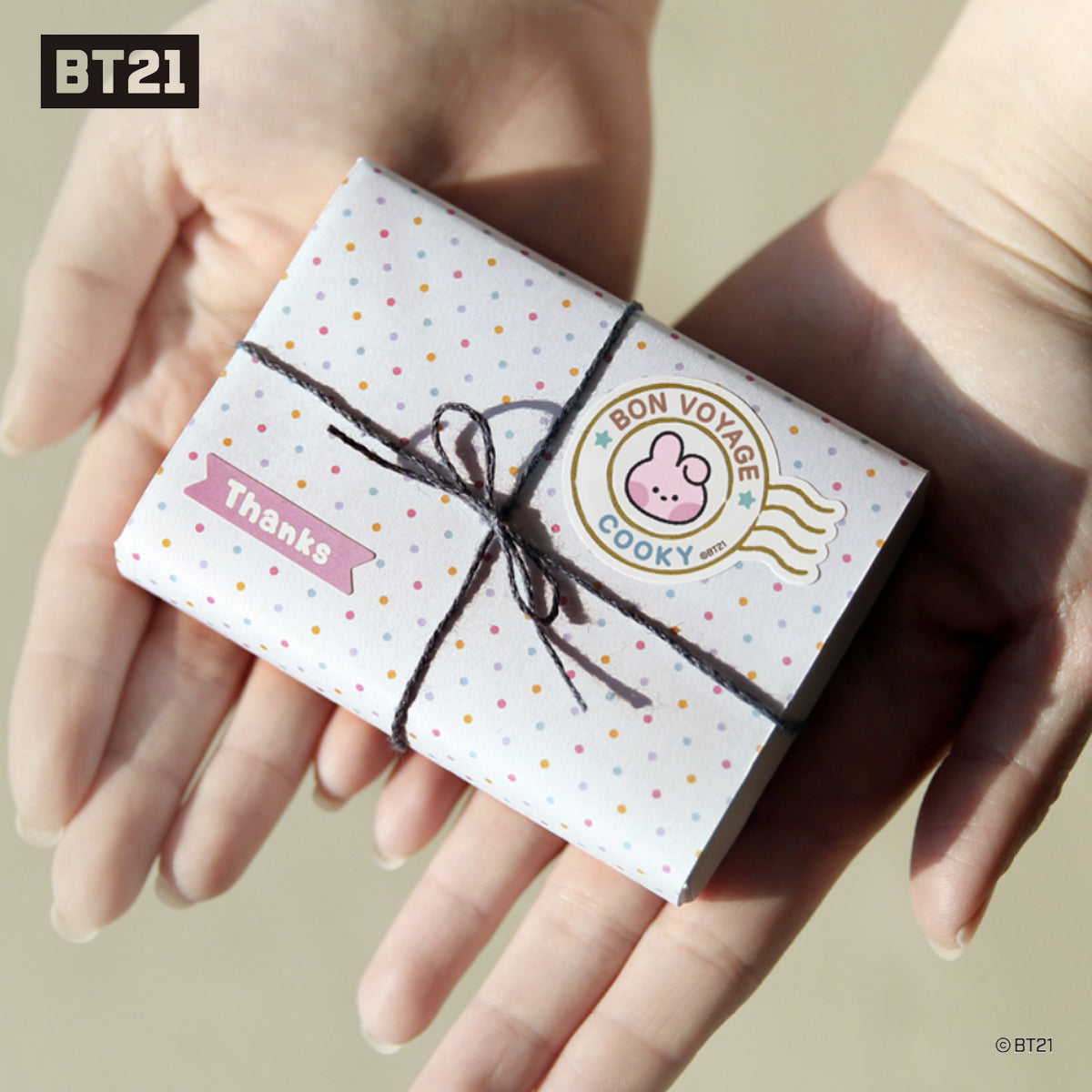 BT21 Minini Removable Gift Sticker