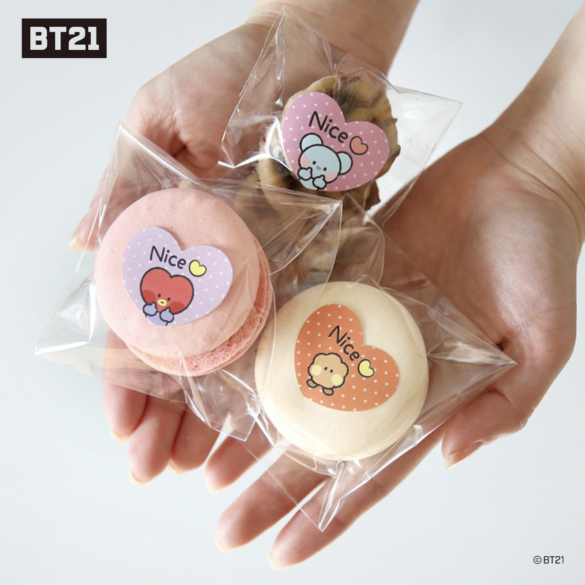 BT21 Minini Removable Gift Sticker